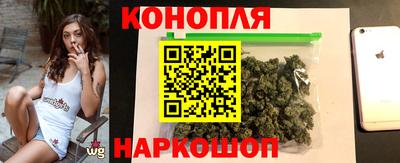 Альфа ПВП Моздок