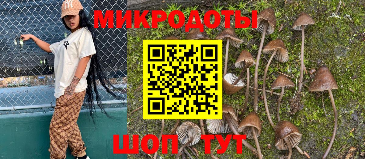 Псилоцибиновые грибы мухоморы Верхний Уфалей