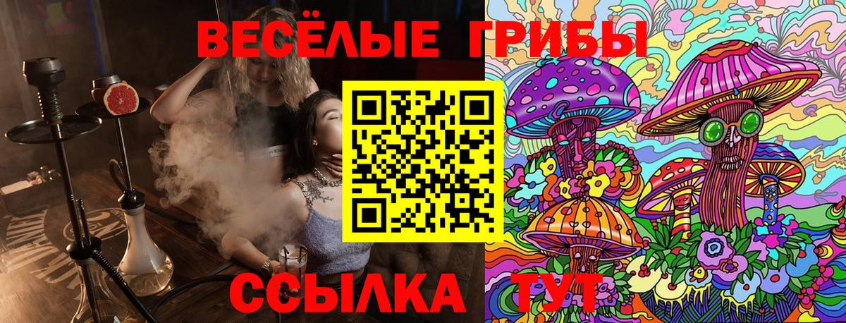 Галлюциногенные грибы прущие грибы  Галлюциногенные грибы Psilocybe  Верхний Уфалей  Вход с VPN 